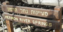 Herman Springs Sign