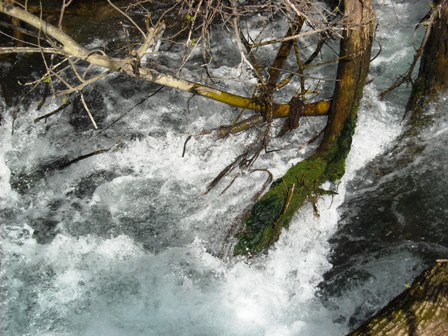 Hermon River Falls at resturant