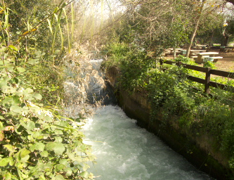 Dan, one of  headwaters of the Jordan River