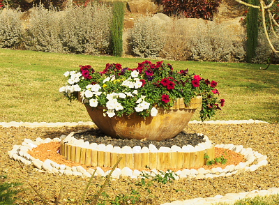 Flowers at the Church of the Beatitudes