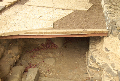Galilee:  Excavation near Peter's house