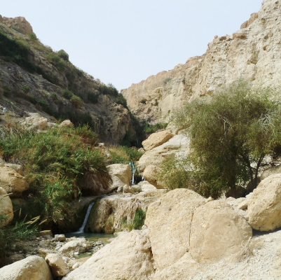Water falls in En Gedi