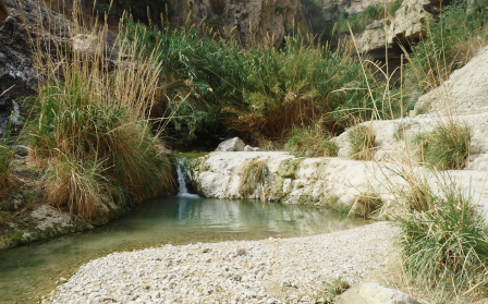 Water falls in En Gedi