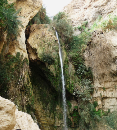 Water falls in En Gedi