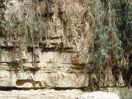 Rock formation in En Gedi