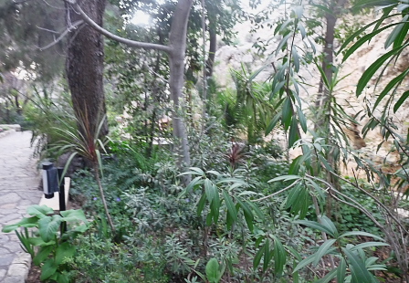 Jerusalem:  Garden tomb gardens
