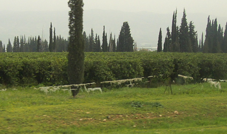 Israel: Palistinian plastic mess