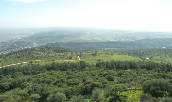 View from Mt. Carmel