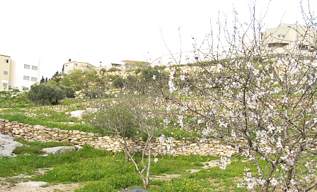 Terraces in Nazareth Village